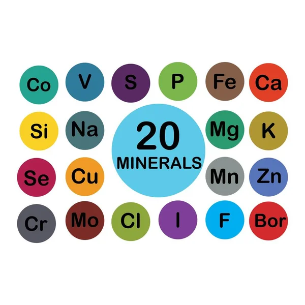 Mineral Unsur Mikro Dan Elemen Makro Berguna Untuk Kesehatan Manusia - Stok Vektor