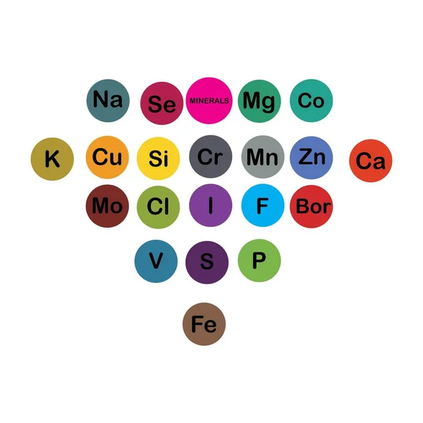 Microelementos Minerales Macroelementos Útiles Para Salud Humana Fundamentos Una Alimentación — Vector de stock