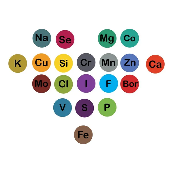 Microelementos Minerales Macroelementos Útiles Para Salud Humana Fundamentos Una Alimentación — Vector de stock