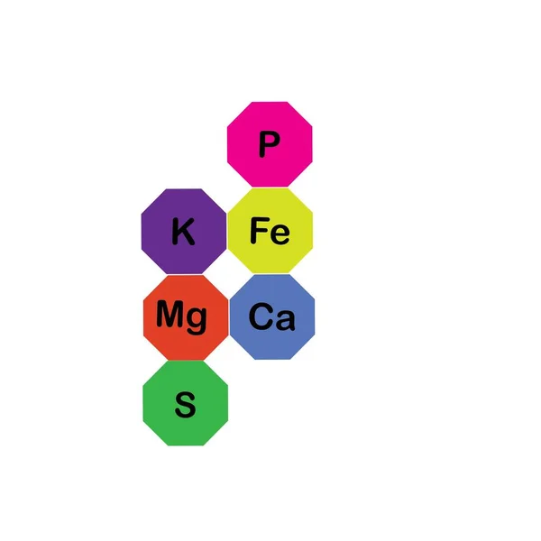 Microelementos Minerales Macroelementos Útiles Para Salud Humana Fundamentos Una Alimentación — Archivo Imágenes Vectoriales