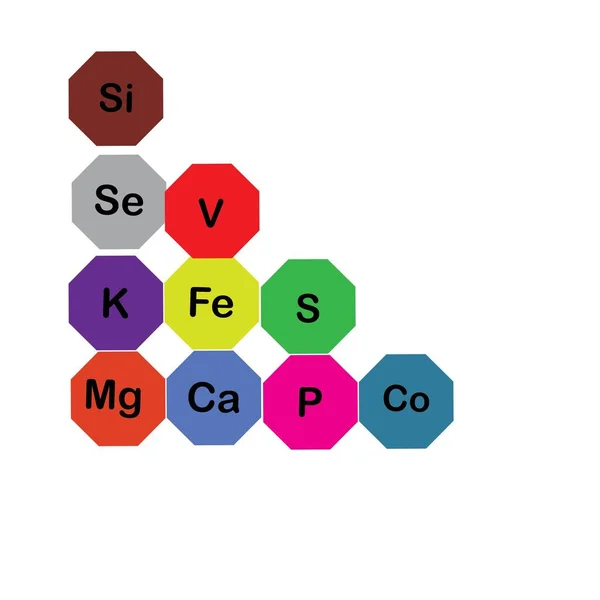 Microelementos Minerales Macroelementos Útiles Para Salud Humana Fundamentos Una Alimentación — Archivo Imágenes Vectoriales