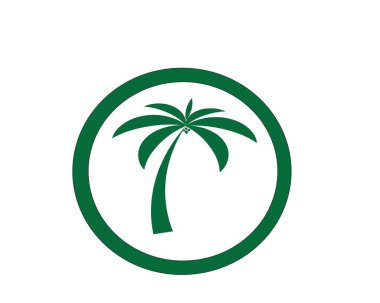 Palmiye ağacı logo şablonu vektör çizimi