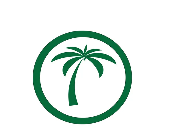 Palmera Verano Logo Plantilla Vector Ilustración — Archivo Imágenes Vectoriales