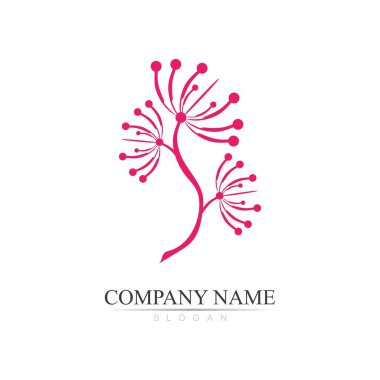 Karahindiba logosu ve çiçek çizimi tasarımı