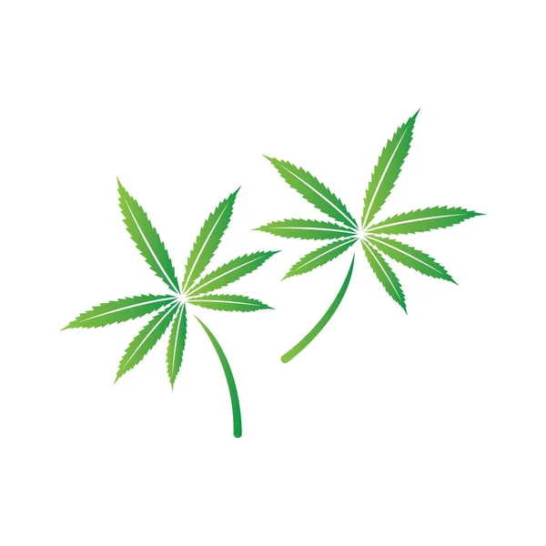 Cannabis Blatt Vektor Illustration Symbol Desig — Stockvektor