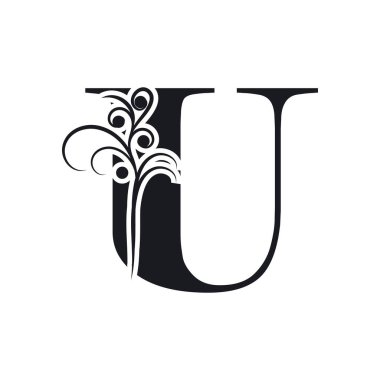 Harf U İş kurumsal birleşik vektör logo tasarım şablonu