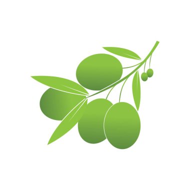 Zeytin logosu şablon vektör resimleme tasarımı
