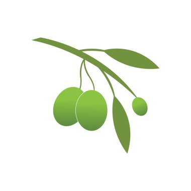 Zeytin logosu şablon vektör resimleme tasarımı