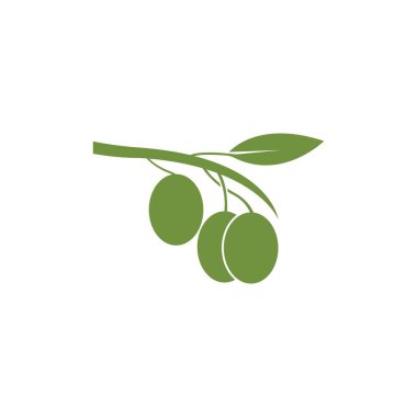 Zeytin logosu şablon vektör resimleme tasarımı