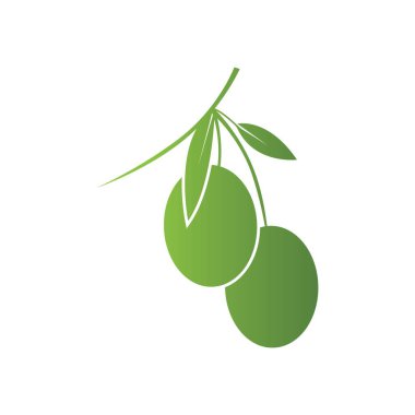 Zeytin logosu şablon vektör resimleme tasarımı