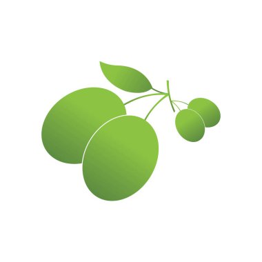 Zeytin logosu şablon vektör resimleme tasarımı