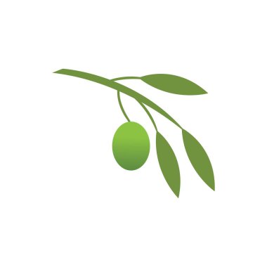Zeytin logosu şablon vektör resimleme tasarımı