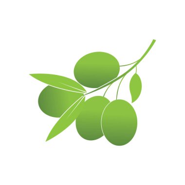 Zeytin logosu şablon vektör resimleme tasarımı