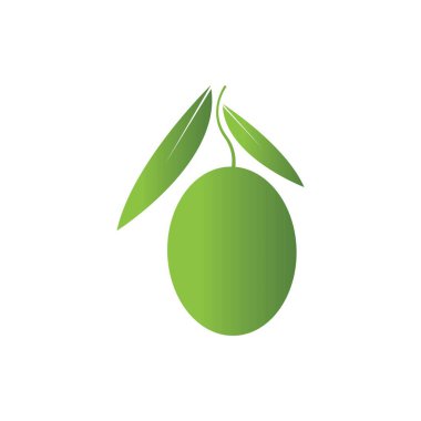 Zeytin logosu şablon vektör resimleme tasarımı