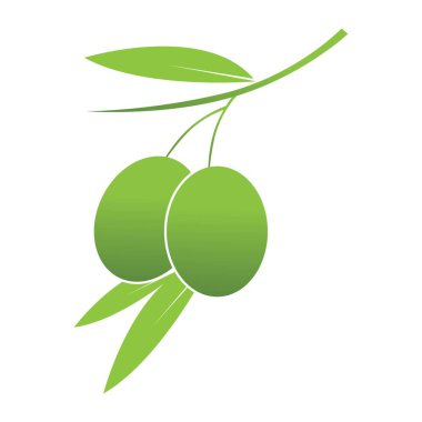 Zeytin logosu şablon vektör resimleme tasarımı
