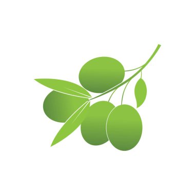 Zeytin logosu şablon vektör resimleme tasarımı