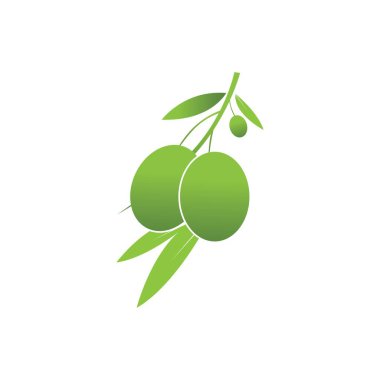 Zeytin logosu şablon vektör resimleme tasarımı
