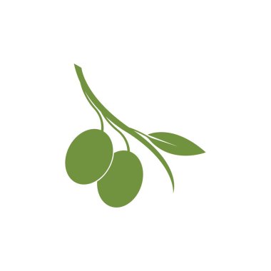 Zeytin logosu şablon vektör resimleme tasarımı