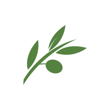 Zeytin logosu şablon vektör resimleme tasarımı