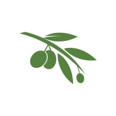 Zeytin logosu şablon vektör resimleme tasarımı