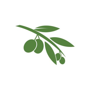 Zeytin logosu şablon vektör resimleme tasarımı