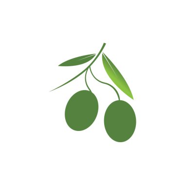 Zeytin logosu şablon vektör resimleme tasarımı