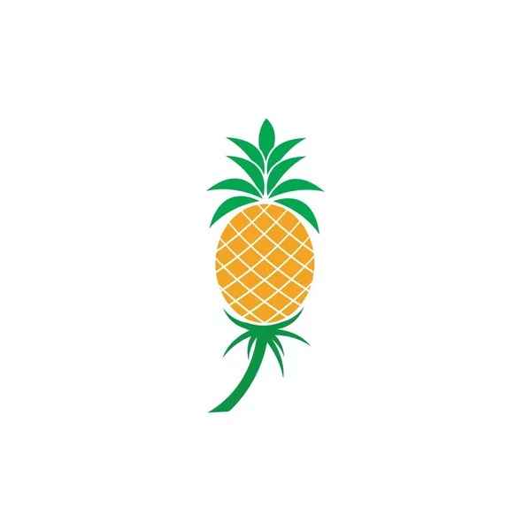 Illustration Vectorielle Des Fruits Tropicaux Ananas — Image vectorielle