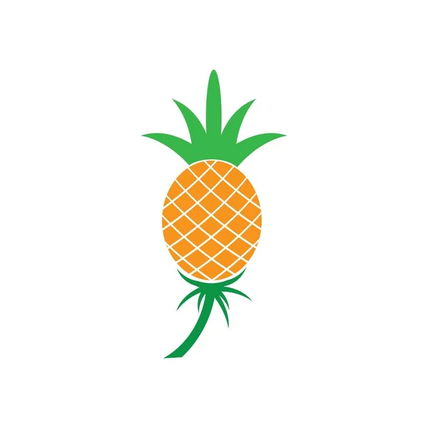 Pineapple Tropical Fruit Vector Illustration — Stock Vector