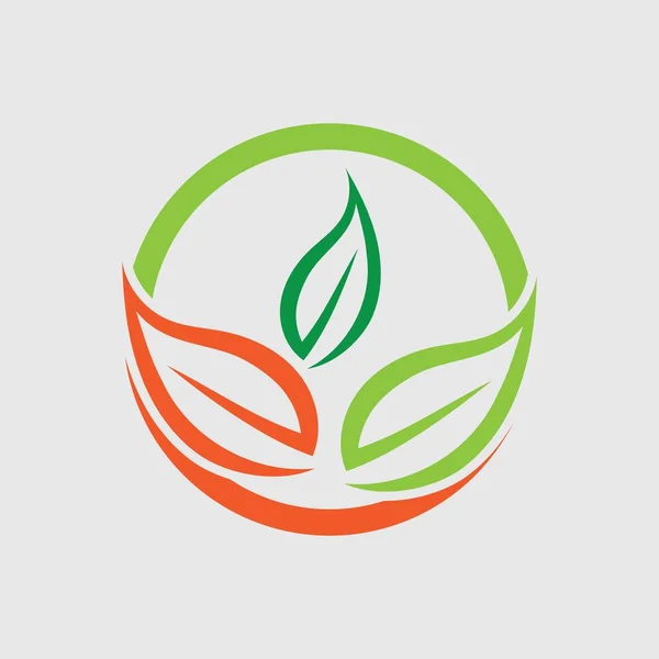 Logos Von Grünen Blättern Ökologie Natur Element Vektor — Stockvektor