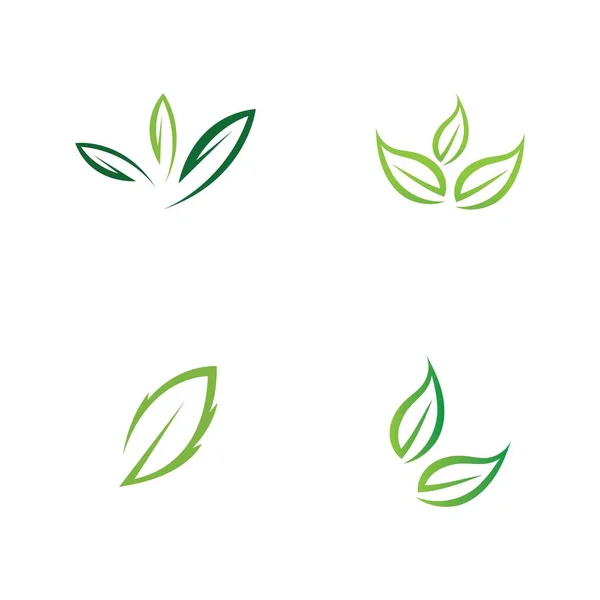 Conjunto Logotipos Ecologia Folha Verde Elemento Vector Natureza — Vetor de Stock