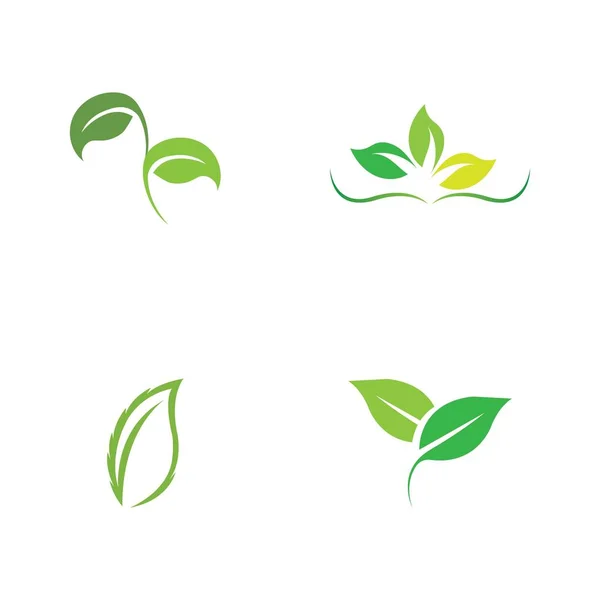 Set Logo Van Groene Blad Ecologie Natuur Element Vector — Stockvector