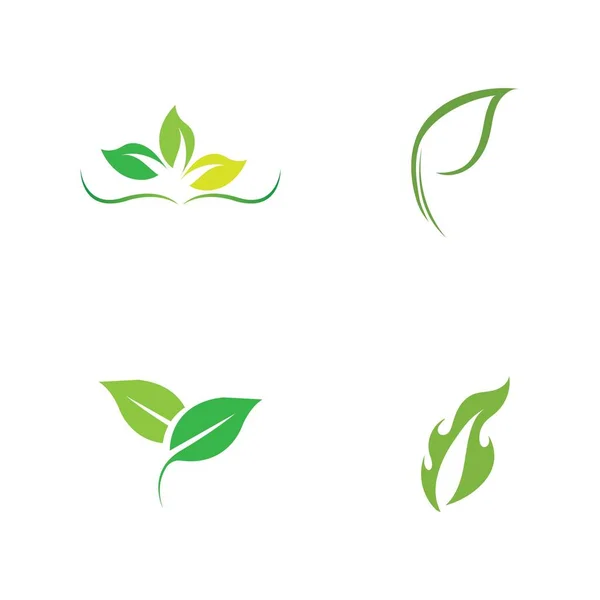 Conjunto Logotipos Ecología Hoja Verde Elemento Naturaleza Vector — Vector de stock