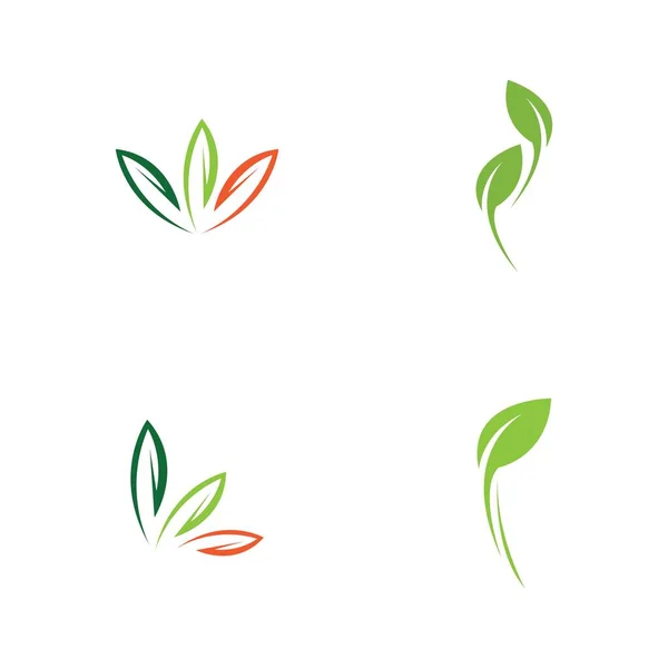 Conjunto Logotipos Ecologia Folha Verde Elemento Vector Natureza — Vetor de Stock