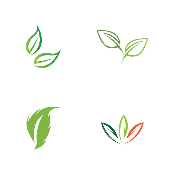 Набор Логотипов Экологии Зеленого Листа — стоковый вектор