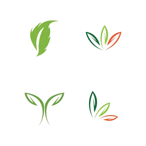 Σύνολο Λογότυπων Πράσινων Φύλλων Οικολογίας Στοιχείο Διάνυσμα — Διανυσματικό Αρχείο