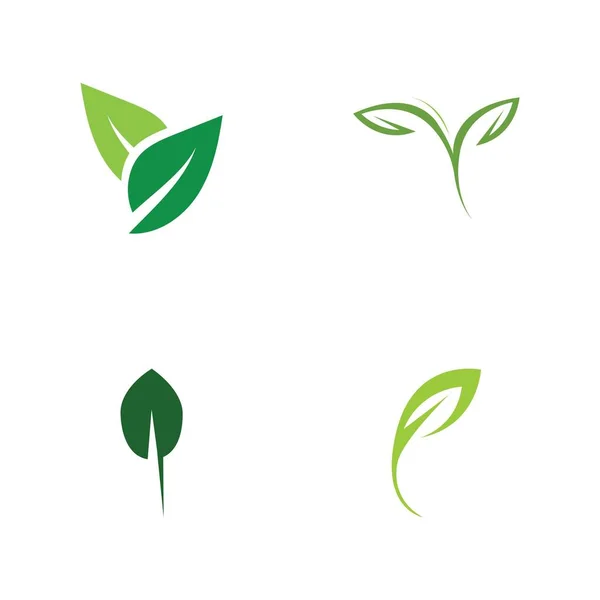 Σύνολο Λογότυπων Πράσινων Φύλλων Οικολογίας Στοιχείο Διάνυσμα — Διανυσματικό Αρχείο