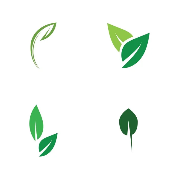 Set Logo Van Groene Blad Ecologie Natuur Element Vector — Stockvector