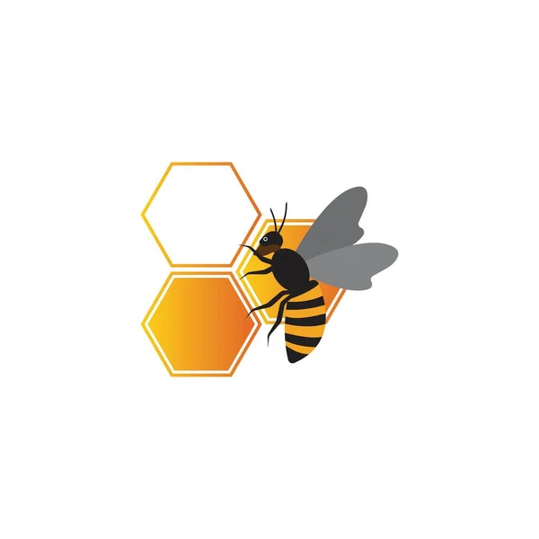 Шаблон Рисунка Логотипа Honeycomb — стоковый вектор