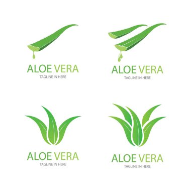 Aloe vera logo vektör ilüstrasyon tasarım şablonu