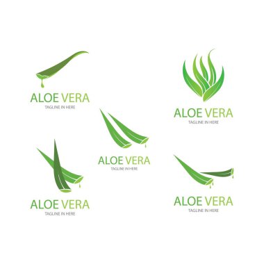 Aloe vera logo vektör ilüstrasyon tasarım şablonu