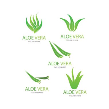 Aloe vera logo vektör ilüstrasyon tasarım şablonu