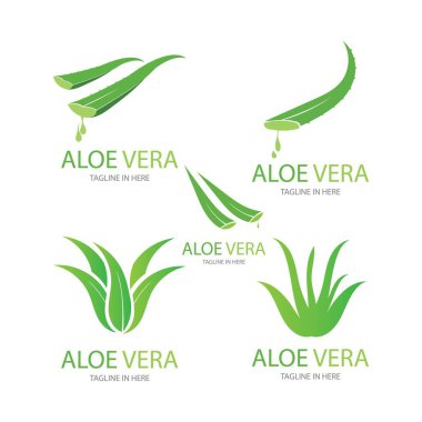 Aloe vera logo vektör ilüstrasyon tasarım şablonu