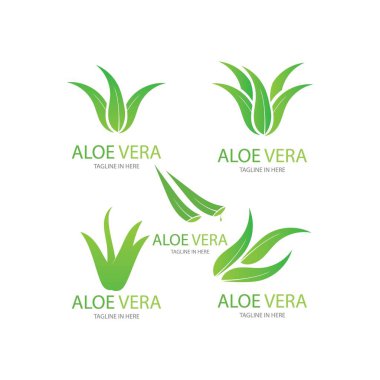 Aloe vera logo vektör ilüstrasyon tasarım şablonu