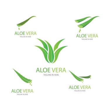 Aloe vera logo vektör ilüstrasyon tasarım şablonu