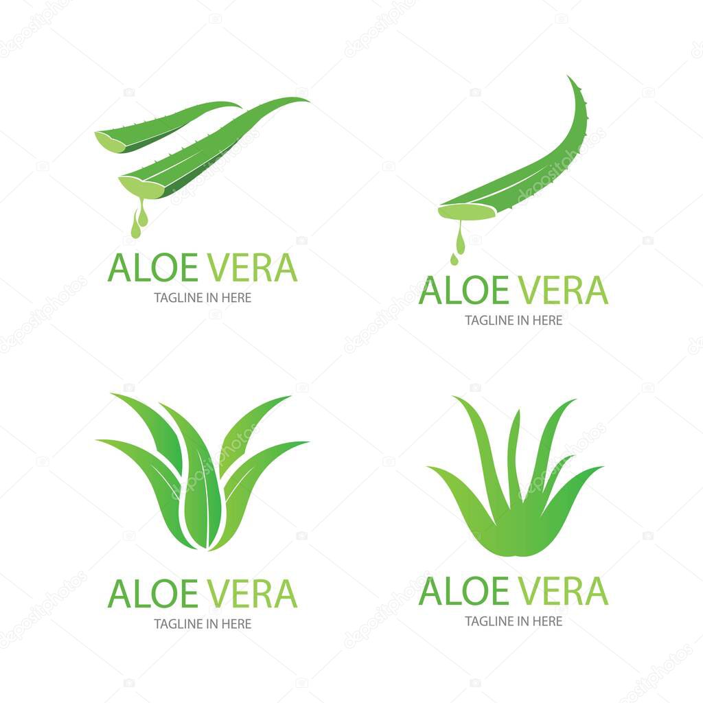 Aloe vera logo vector ilustration design template