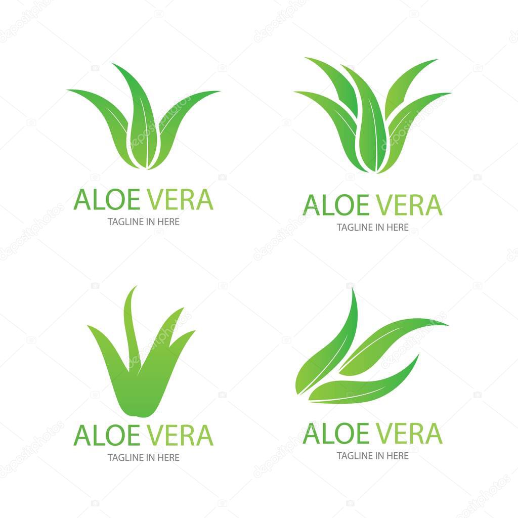 Aloe vera logo vector ilustration design template