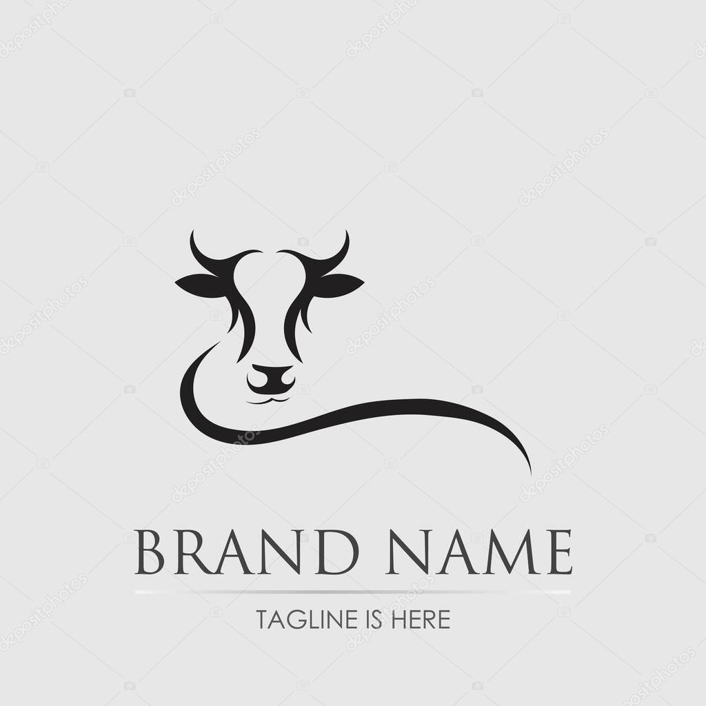 Cow head design vector on gray background. farm Animal