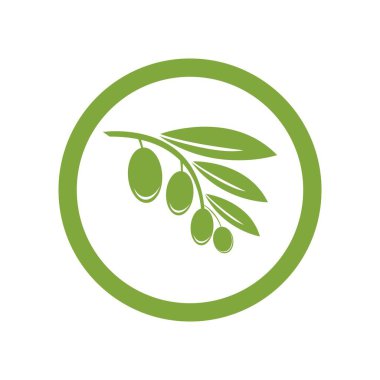 zeytin logosu vektör tasarımı