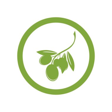 zeytin logosu vektör tasarımı