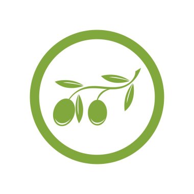 zeytin logosu vektör tasarımı